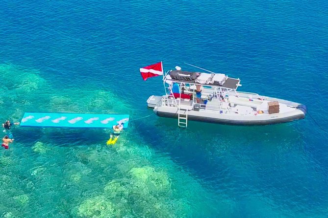 VIP Aloha Nui Snorkel Adventure w/ optional SCUBA from Lahaina - A four-and-a-half-hour morning on the water