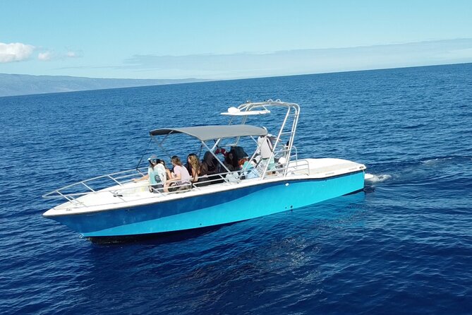 VIP Premiere Whale Watch Kaanapali Beach MAX 12 PASSENGERS - Why the small boat changes the experience
