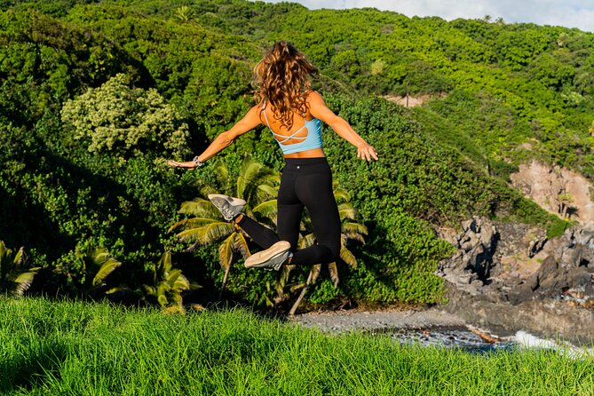 VIP Private Full-Day Road to Hana Tour from Lahaina-Kapalua - Key details to know before booking