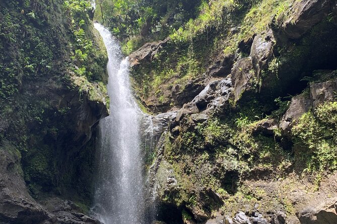 VIP Private Full-Day Road to Hana Tour from Lahaina-Kapalua - Bamboo, eucalyptus, and Ke‘anae Point