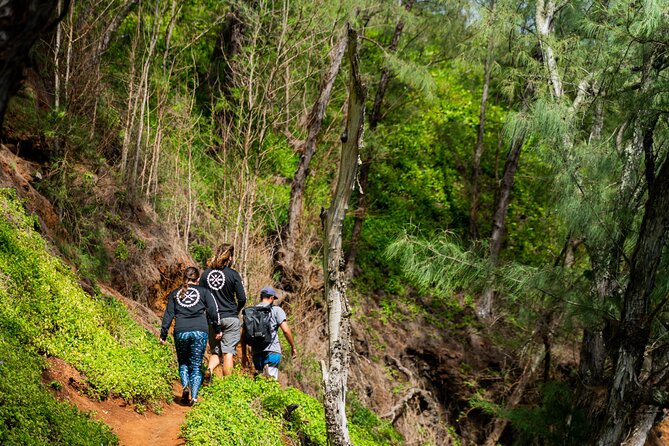 VIP Private Full-Day Road to Hana Tour from Lahaina-Kapalua - Waianapanapa and Hana Farms