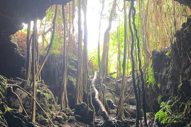 VIP Private Full-Day Road to Hana Tour from Lahaina-Kapalua - Wailua Falls and the Kipahulu coast