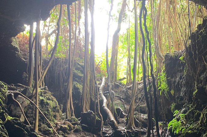 VIP Private Full-Day Road to Hana Tour from Lahaina-Kapalua - An important correction about Oheo Gulch