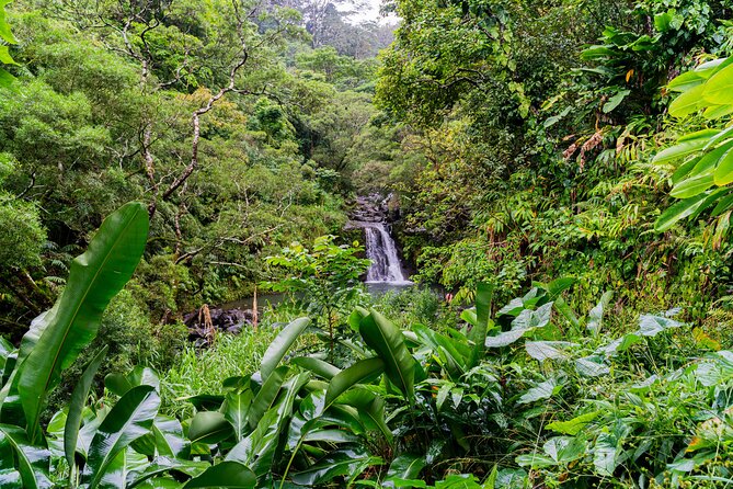 VIP Private Full-Day Road to Hana Tour from Lahaina-Kapalua - Jaws Country Store and the famous highway