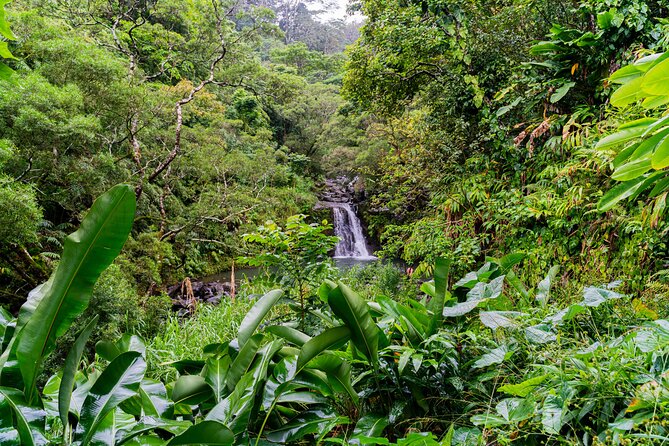 VIP Private Full-Day Road to Hana Tour - Paia and Ho‘okipa set the tone