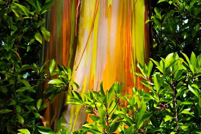 VIP Private Road to Hana and Haleakala Sunset Tour - Haleakala sunset is the grand finish