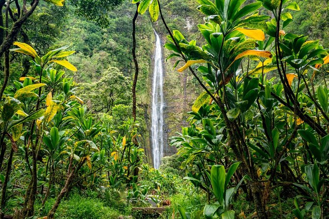 VIP Private Road to Hana and Haleakala Sunset Tour - Twin Falls offers an early waterfall stop