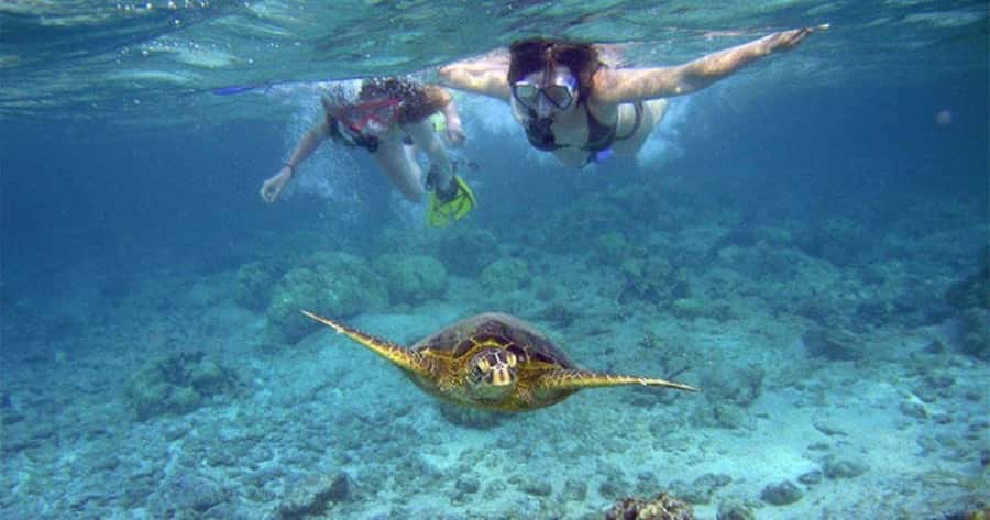 Wailea-Makina: Sea Caves, Molokini Snorkel & Turtle Town - The Kanaio Coast sea caves