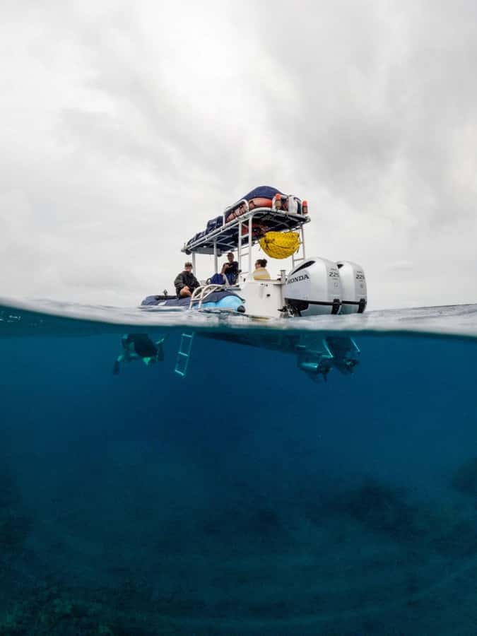 Wailea-Makina: Sea Caves, Molokini Snorkel & Turtle Town - Is $228 a fair price?