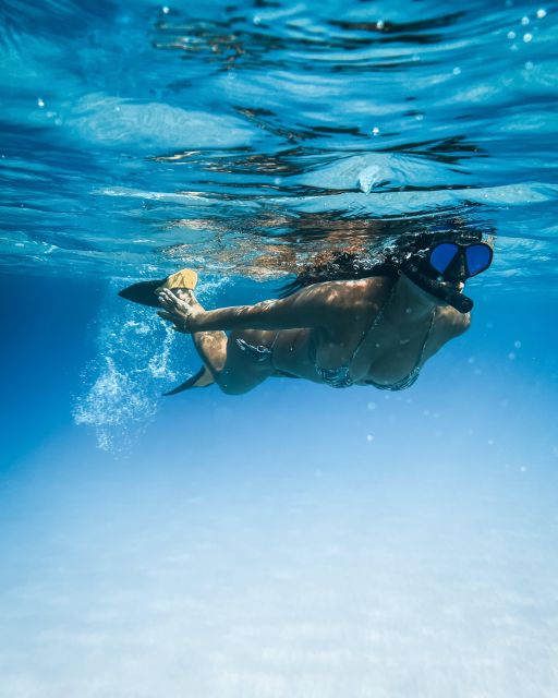 Wailea: Turtle Town Snorkeling Trip with Photo and Video - Photos and video are part of the value