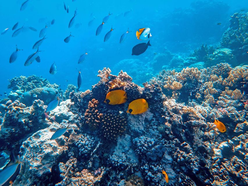 Wailea: Turtle Town Snorkeling Trip with Photo and Video - Is $119 a fair price?