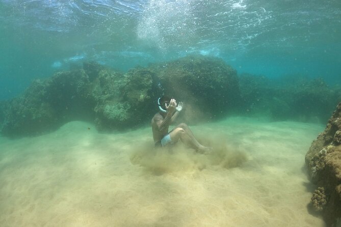 Water Bike Tour in South Maui - What makes this South Maui ride worth your morning