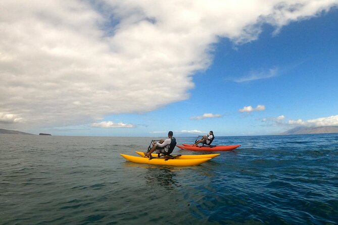 Water Bike Tour in South Maui - The black sand beach seen from offshore