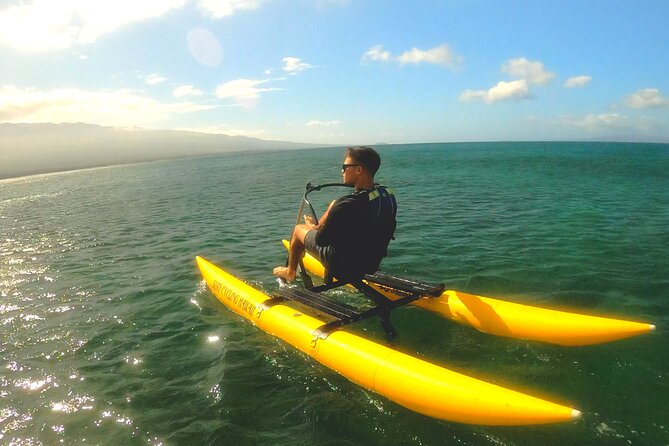 Water Bike Tour in South Maui - Local stories, Hawaiian words, and sea life