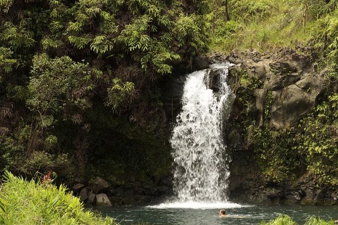 Waterfall and Rainforest Adventure - Key details before you book