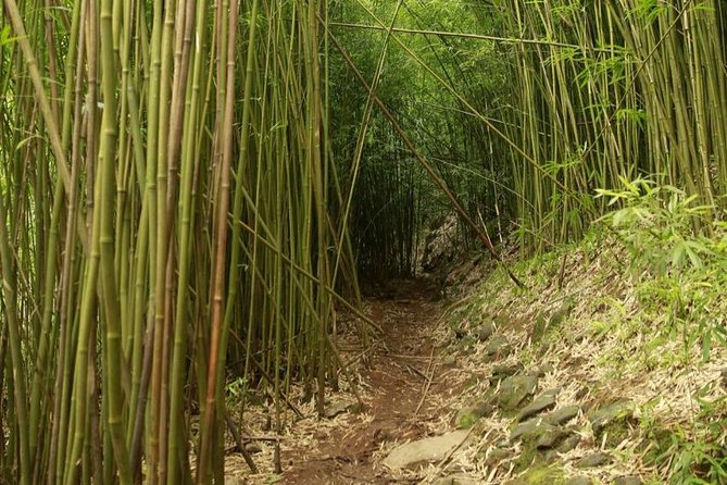 Waterfall and Rainforest Adventure - What this Maui day is really about
