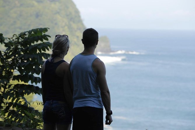 Waterfall and Rainforest Adventure - What your guide adds to the day