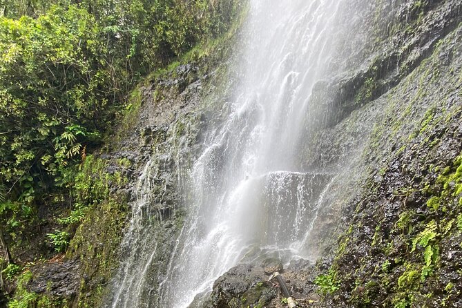 Waterfall and Rainforest Adventure - The $405 price and what you receive
