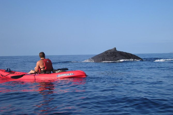 Waterfall Hike and Kayak Snorkel & Paddle from Makena - Who should book this Makena adventure?