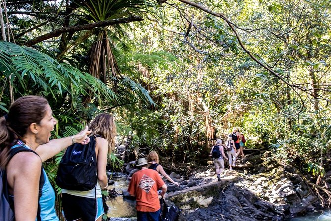 Waterfall & Rainforest Hiking Adventure with Hotel Pickup - Small groups and the guide’s role