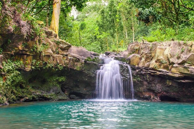 Waterfall & Rainforest Hiking Adventure with Hotel Pickup - What the $229.32 price really covers