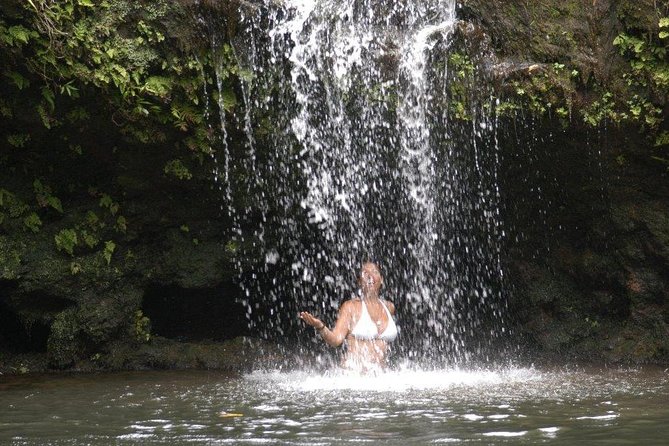 Waterfall & Rainforest Hiking Adventure with Hotel Pickup - Walking 2.5 miles through East Maui rainforest