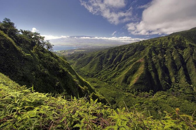 West Maui Adventure Tour with Private Guide - Key points to know before booking