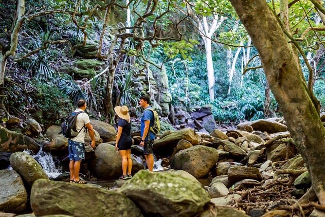 West Maui Adventure Tour with Private Guide - Why a private West Maui day can work so well
