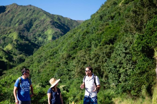 West Maui Adventure Tour with Private Guide - Honolua Bay blends scenery, culture, and ocean life