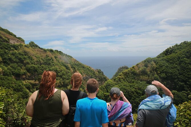 West Maui Adventure Tour with Private Guide - Turnbull Studios adds art and a slower lunch break