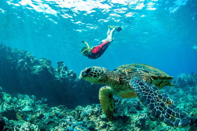 West Maui Afternoon Snorkel from Ka’anapali Beach - The open bar and the sail back