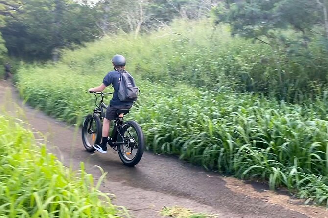 West Maui eBike Island Explorer Full-Day Rental - What this West Maui eBike rental really offers