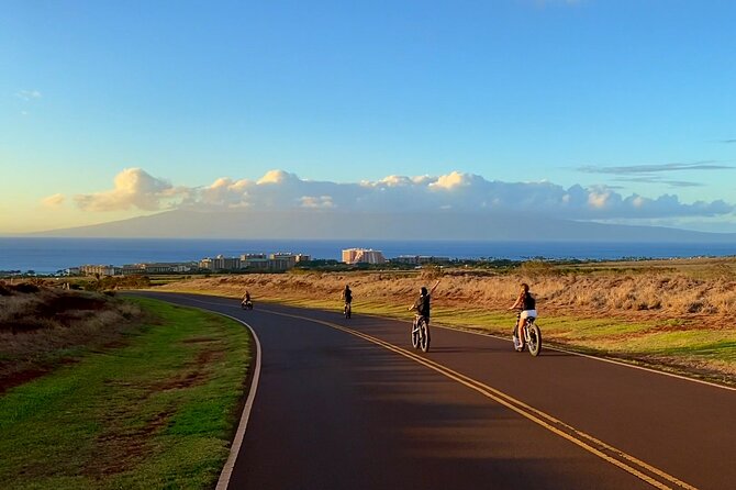 West Maui eBike Island Explorer Full-Day Rental - The road-safety issue you should take seriously