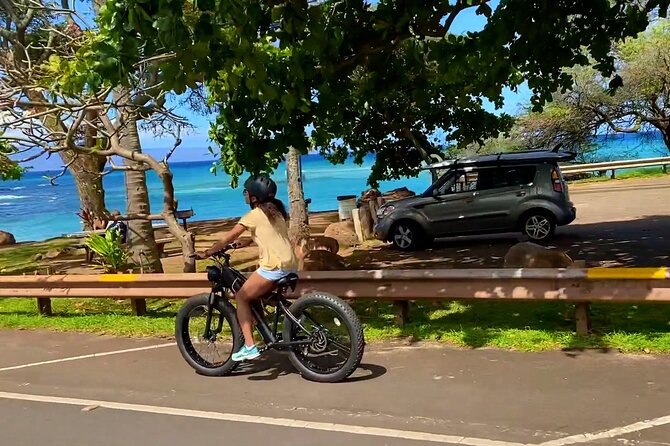 West Maui eBike Island Explorer Full-Day Rental - Food and water stops at your own pace