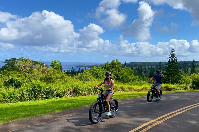 West Maui eBike Self-Guided Island Adventure Tour - Who should book this West Maui eBike outing