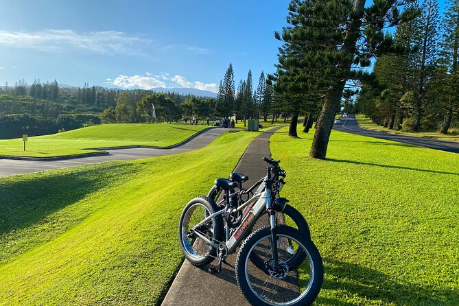 West Maui Electric Bike Rentals - Starting near Lahaina with a fast electric bike