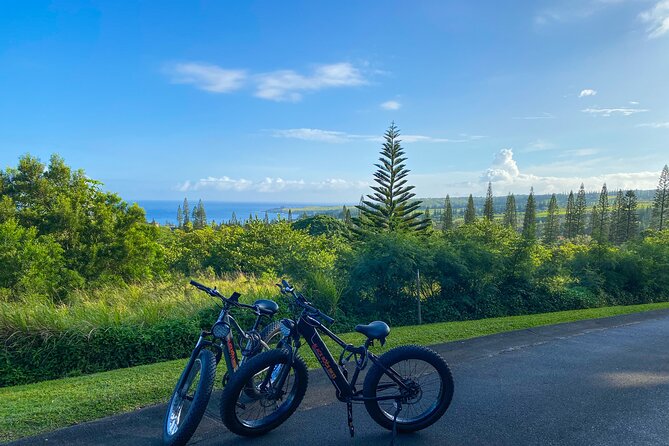 West Maui Electric Bike Rentals - When the location works, and when it does not