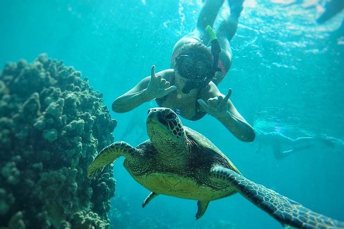 West Maui Half Day Snorkel from Ka’anapali Beach - A Crew That Shapes the Day