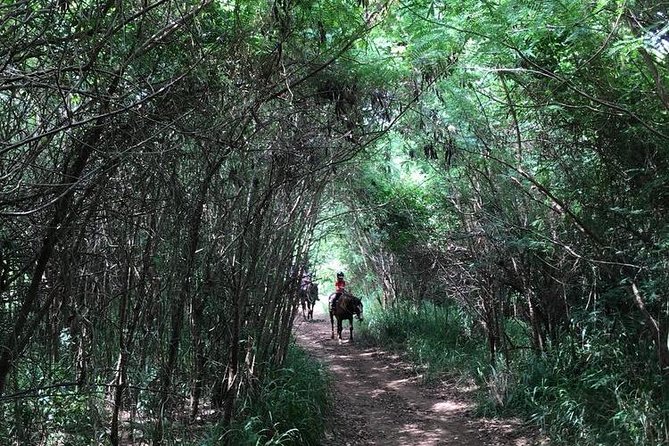 West Maui Mountain Waterfall and Ocean Tour via Horseback - The optional faster section