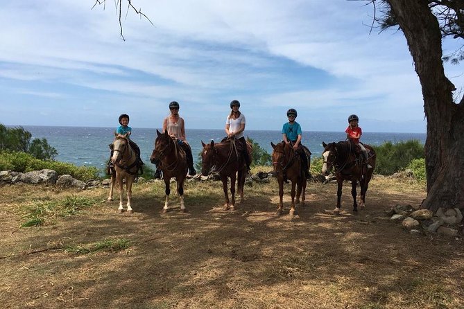 West Maui Mountain Waterfall and Ocean Tour via Horseback - Animals, photos, and the ranch atmosphere