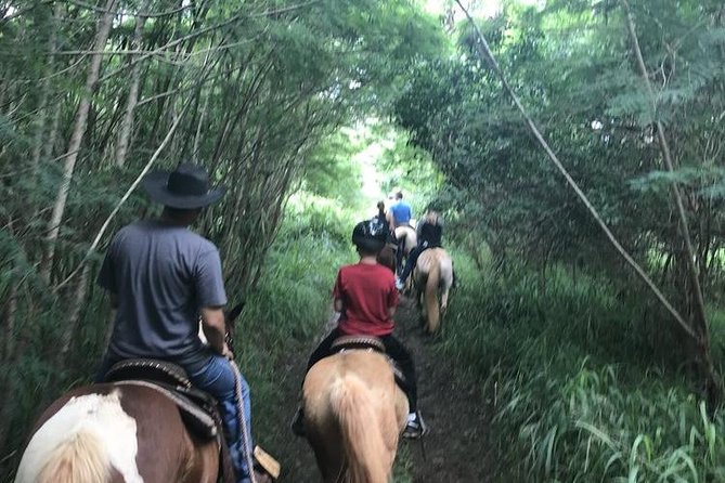 West Maui Mountain Waterfall and Ocean Tour via Horseback - What to wear for a dusty saddle