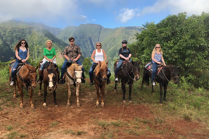 West Maui Mountain Waterfall and Ocean Tour via Horseback - Is $187.50 a fair price?