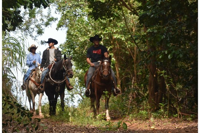West Maui Mountain Waterfall and Ocean Tour via Horseback - The mountain trail and seasonal waterfalls