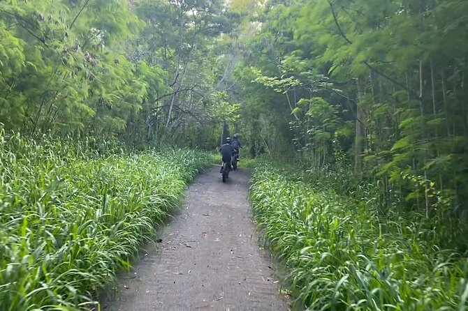 West Maui: Self-Guided E-Bike Kapalua Jungle Adventure Tour - Coastlines, Beaches, and Marine Life