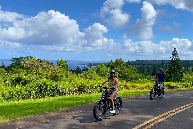 West Maui: Self-Guided E-Bike Kapalua Jungle Adventure Tour - Coffee Farms and Sand Dunes Add Variety