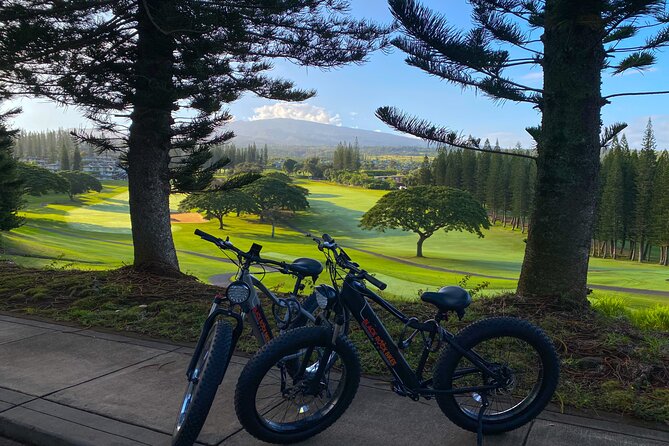 West Maui: Self-Guided E-Bike Kapalua Jungle Adventure Tour - Who Gets the Best Value for $135