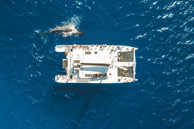 West Maui Snorkel & Sail - Starting at Lahaina Harbor at 10:30 am