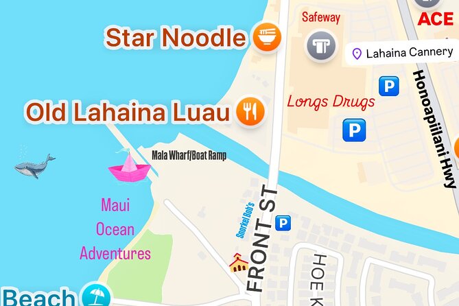 West Maui Sunset Whale Watch - What the two-hour itinerary feels like