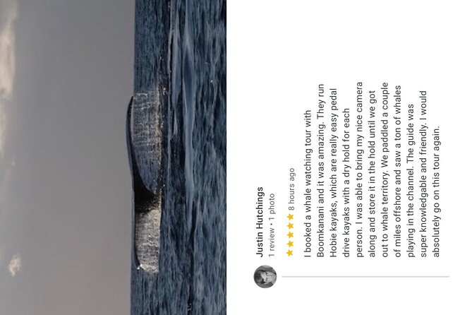 Whale Watch and Scenic Tour from Kayak - The scenic version outside whale season