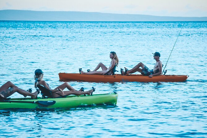 Whale Watch and Scenic Tour from Kayak - How the small group changes the experience
